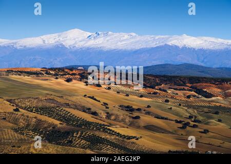 Ore del sorgere sulla coperta di neve della Sierra Nevada mountain range visto dalla campagna di Alhama de Granada in Spagna Foto Stock