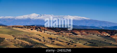 Ore del sorgere sulla coperta di neve della Sierra Nevada mountain range visto dalla campagna di Alhama de Granada in Spagna Foto Stock