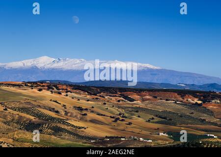 Ore del sorgere sulla coperta di neve della Sierra Nevada mountain range visto dalla campagna di Alhama de Granada in Spagna Foto Stock