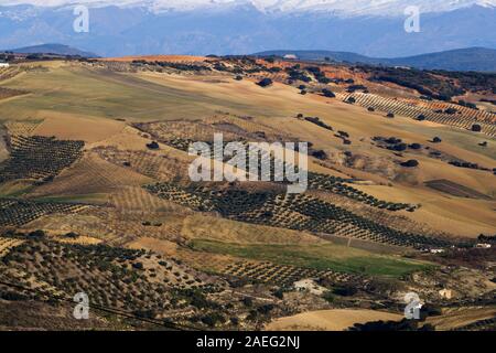 Ore del sorgere sulla coperta di neve della Sierra Nevada mountain range visto dalla campagna di Alhama de Granada in Spagna Foto Stock