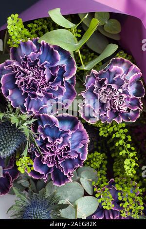 Composizione floreale di fiori di garofani, foglie di thistle ed eucalipto. Bouquet di fiori di colore violaceo, violaceo e violaceo in carta viola Foto Stock