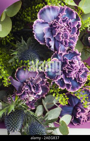 Composizione floreale di fiori di garofani, foglie di thistle ed eucalipto. Bouquet di fiori di colore violaceo, violaceo e violaceo in carta viola Foto Stock