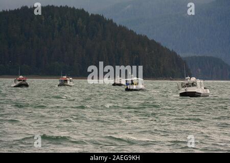 Whale watching tours Foto Stock