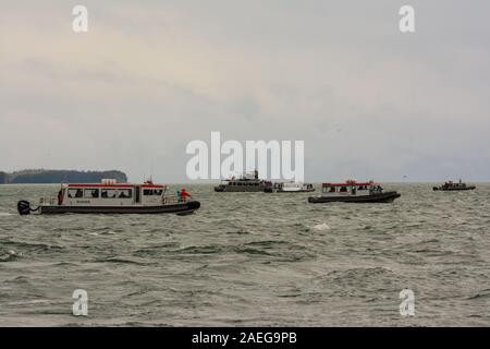 Whale watching tours Foto Stock