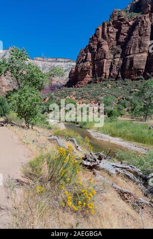Sion, Utah/ Stati Uniti d'America, USA-3 ottobre 2019: Parco Nazionale di Zion Foto Stock