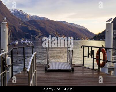 Il golden acqua del lago di Lugano, visto dal molo, al tramonto Foto Stock