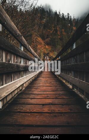 Ponte di sospensione e nebbiosa foresta di autunno Foto Stock