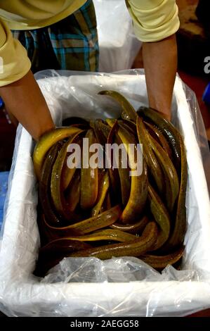 Dacca in Bangladesh. Il 9 dicembre, 2019. Un lavoratore mostra anguille collocato in un cestello per l'esportazione ad un pesce dal centro di elaborazione a Dhaka, nel Bangladesh, Dicembre 9, 2019. In mezzo a un boom delle esportazioni, il numero crescente degli allevamenti di anguille sono impostati in Bangladesh. Credito: Str/Xinhua/Alamy Live News Foto Stock