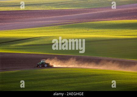 Aratri del trattore sul campo in primavera Foto Stock