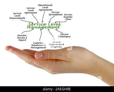 Schema di gestione del livello di servizio Foto Stock