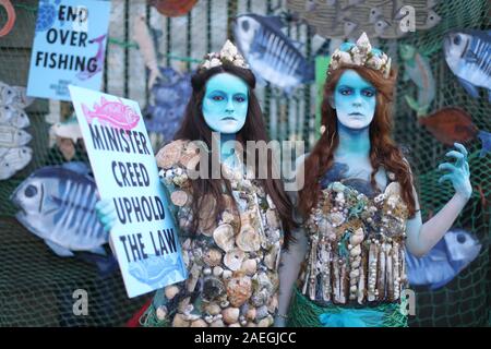 Lia Rossiter (sinistra) e Ceara Carney, vestito come sirene, unisciti ai membri dell'Irish Wildlife Trust e la ribellione di estinzione Irlanda protesta al di fuori di Leinster House a Dublino, contro la pesca eccessiva nelle acque irlandesi. Foto Stock