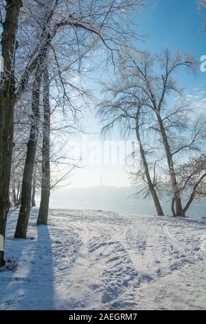 KIEV, UCRAINA - 18 gennaio 2017: Paesaggio invernale, alberi nel gelo, vista del monumento alla patria dalla riva sinistra del Dnepr Foto Stock