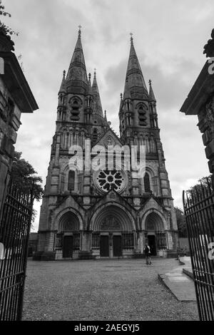 Faade della cattedrale, Saint Fin Barre's Cathedral, Cork, Repubblica di Irlanda Foto Stock