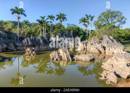 Vinales, Pinar del Rio, Cuba, America del Nord Foto Stock