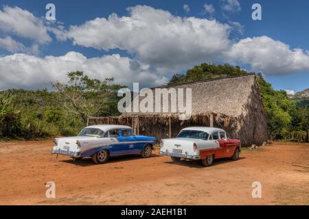 Vinales, Pinar del Rio, Cuba, America del Nord Foto Stock