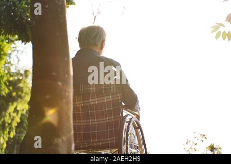 Vista posteriore di asian senior uomo seduto in poltrona a rotelle Foto Stock