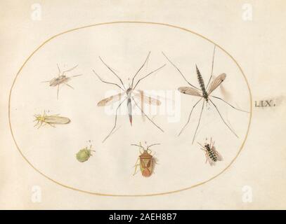 Joris Hoefnagel, Animalia Rationalia et Insecta (Ignis) - Piastra LIX, c 1575-1580 Animalia Rationalia et Insecta (Ignis): piastra LIX; c. 1575/1580 Foto Stock