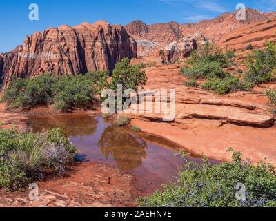 Buca riempita con acqua, pietrificate dune, Snow Canyon State Park, Saint George, Utah. Foto Stock