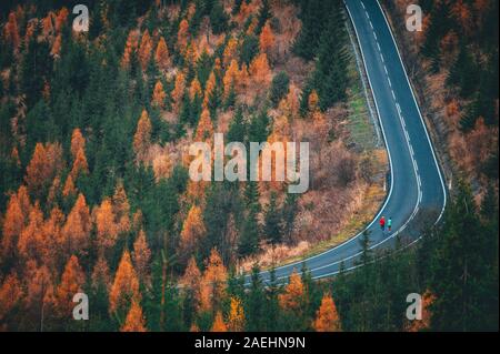 Due guide insieme sulla strada in autunno la natura. Foto Stock