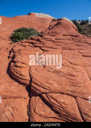 Cross-bedded arenaria, Flusso di Lava Trail, Snow Canyon State Park, Saint George, Utah. Foto Stock