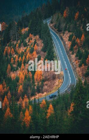 Due guide insieme sulla strada in autunno la natura. Foto Stock