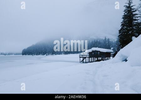 Foresta di neve e il lago in una fredda giornata invernale Foto Stock