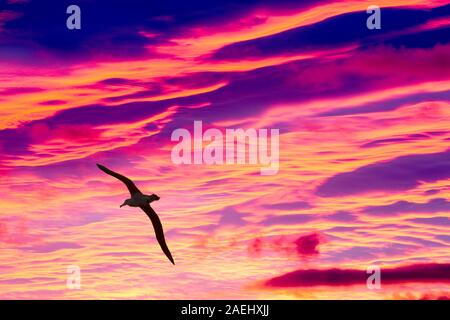 Tramonto sul Coniston fells nel distretto del lago, UK. Foto Stock