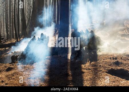 Il re il fuoco che bruciò 97,717 acri di El Dorado National Forest in California, Stati Uniti d'America. A seguito di un inedito e quattro anni di siccità, wild fi Foto Stock