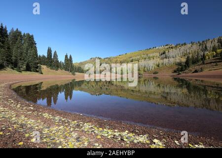 Desolazione Lago in autunno, grandi pioppi neri americani Canyon dello Utah Foto Stock