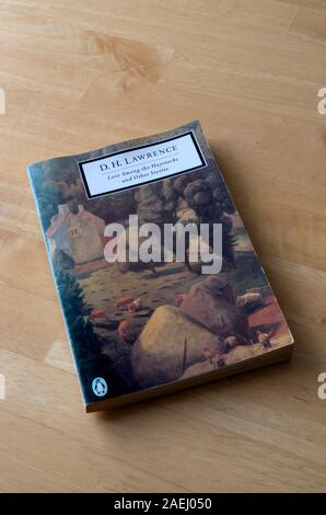 D. H. Lawrence di amore tra i Haystacks e altre storie libro in brossura Foto Stock