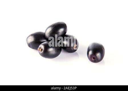 Jambolan prugna o Java prugna (Syzygium cumini) Foto Stock