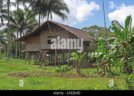 Stilt house fiume Fly, Papua Nuova Guinea Luglio Foto Stock