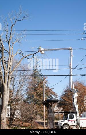 I rivestimenti del lavoratore a rami di alberi prima di abbattimento albero. Foto Stock