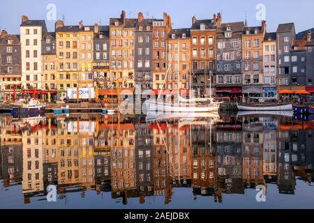 Honfleur port / porto nella calda luce del mattino, Honfleur, Calvados, Normandia, Francia, Europa Foto Stock