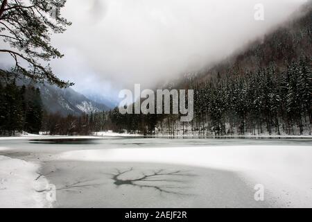 Un parzialmente congelati Lago Planšar (Planšarsko jezero) in Zgornje Jezersko, Slovenia, con un foro di ramificati nel ghiaccio. Foto Stock