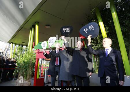 Germania, Berlino, 09/12/2019, Frank Bruckmann, Michael Müller, Wu Ken nel giardino pands. I nomi ufficiali dei due gemelli maschio sono Meng Xiang (sospirato sogno) e Meng YUAN (soddisfatto Sogno) allo zoo di Berlino. Secondo la tradizione cinese, i nomi della Panda progenie sarà annunciato in occasione del centesimo giorno di vita. Foto Stock