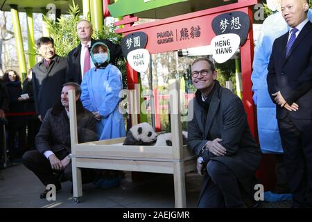 Germania, Berlino, 09/12/2019, Wu Ken, Dr. Andreas Knieriem, Frank Bruckmann, Michael Müller nel Panda-Garden. I nomi ufficiali dei due gemelli maschio sono Meng Xiang (sospirato sogno) e Meng YUAN (soddisfatto Sogno) allo zoo di Berlino. Secondo la tradizione cinese, i nomi della Panda progenie sarà annunciato in occasione del centesimo giorno di vita. Foto Stock
