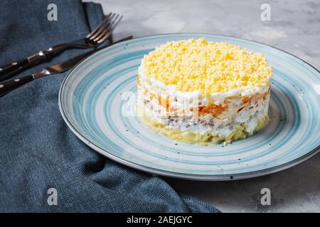 Tradizionale insalata russa Mimosa con la sardina, cipolla, patate, carote, formaggio, uova e maionese su cemento tabella Foto Stock