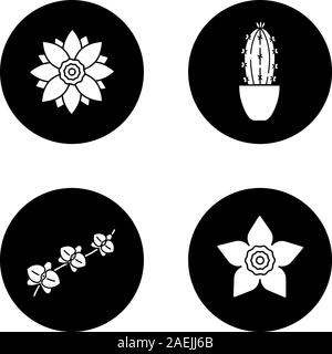 Fiori glifo set di icone. Lotus, daffodil, orchidea, ramo, cactus in vaso. Vettore silhouette bianca illustrazioni di cerchi neri Illustrazione Vettoriale