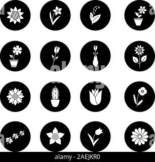 Fiori glifo set di icone. Giardino, Wild, casa di piante. In fiore fiori decorativi. Vettore silhouette bianca illustrazioni di cerchi neri Illustrazione Vettoriale