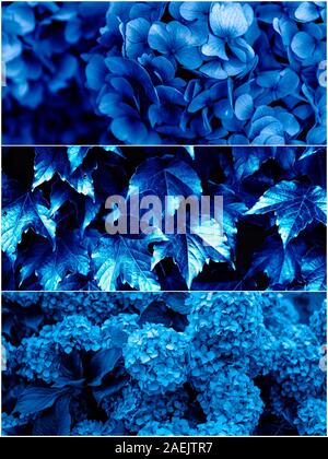 Fiore photo collage fatto nei toni del blu con l'influenza del tema del nuovo colore dell'anno 2020. Immagine in tonalità blu classico Foto Stock