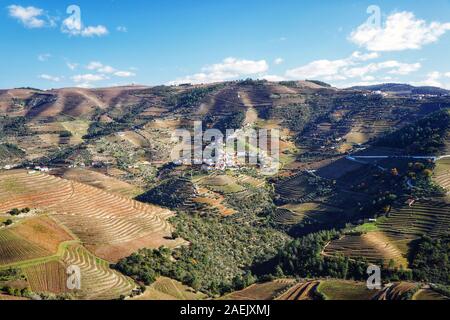 Vigneti lungo la regione vinicola della Valle del Douro, Portogallo Foto Stock
