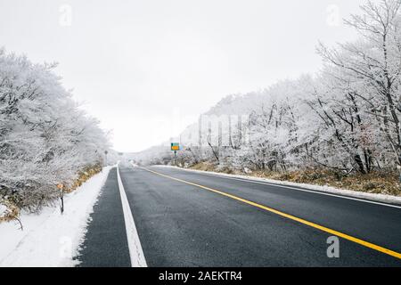 Auto strada con neve invernale in montagna Hallasan 1100 highland in Jeju Island, Corea Foto Stock