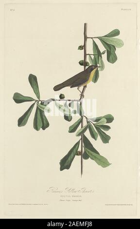 Robert Havell dopo John James Audubon, Roscoe gialla della gola, 1827, Roscoe gialla della gola; 1827 data Foto Stock