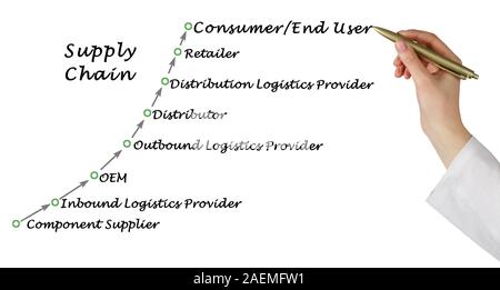 Schema della catena di alimentazione Foto Stock