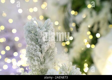 White Christmas tree con luce astratta sfondo bokeh di fondo Foto Stock