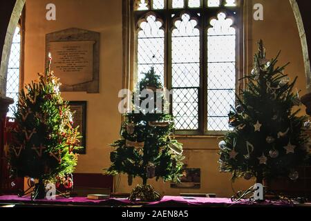 Decorate di alberi di Natale alla chiesa del paese Festival degli alberi di Natale nel Bedfordshire, England, Regno Unito Foto Stock