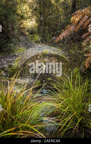 Pietra antica fontana di acqua 'Fontaine de Bachinacce' trovato nella foresta del Fango Valley vicino a Galeria in Corsica Foto Stock