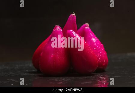 Pitiguey Pink Fruit Group primo piano Foto Stock