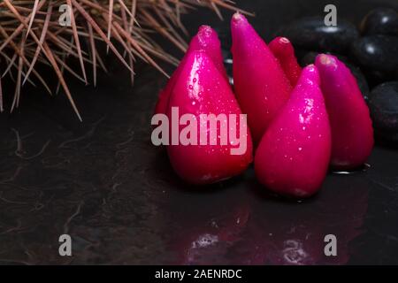 Pitiguey Pink Fruit Group primo piano su sfondo nero Foto Stock